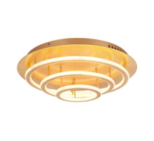 Потолочный светодиодный светильник Globo Arryn 49252-100G