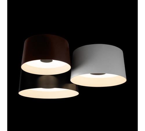Потолочный светильник Loft IT Duo 10360/3 Потолочный светильник Loft IT Duo 10360/3