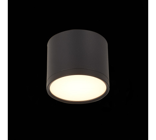 Потолочный светильник ST Luce Rene ST113.432.09 Потолочный светильник ST Luce Rene ST113.432.09