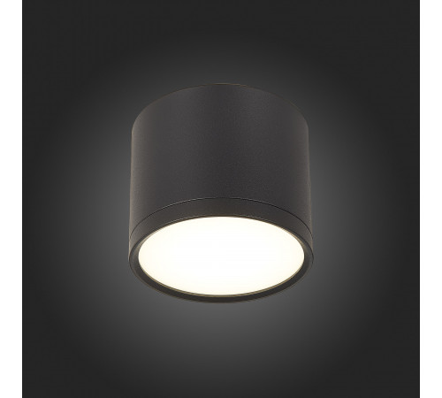 Потолочный светильник ST Luce Rene ST113.442.09 Потолочный светильник ST Luce Rene ST113.442.09
