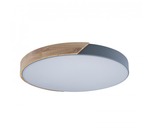 Потолочный светильник Loft IT AXEL 10004/36 Grey