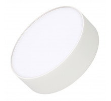 Потолочный светильник Arlight IM-RONDO-EMERGENCY-3H-R175-19W Warm3000 (WH, 120 deg, 230V) 041052