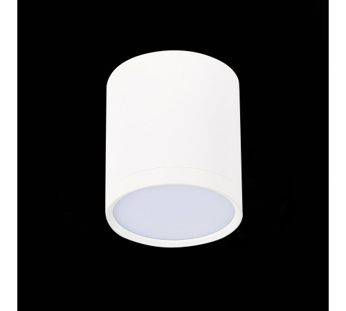 Потолочный светильник ST Luce Rene ST113.532.05 Потолочный светильник ST Luce Rene ST113.532.05