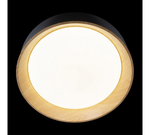 Потолочный светильник Loft IT Coin 10202 Black Потолочный светильник Loft IT Coin 10202 Black