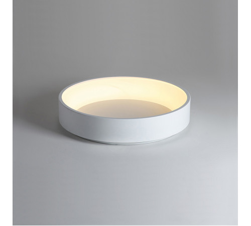 Потолочный светильник ImperiumLoft Tray 102137-26 Потолочный светильник ImperiumLoft Tray 102137-26