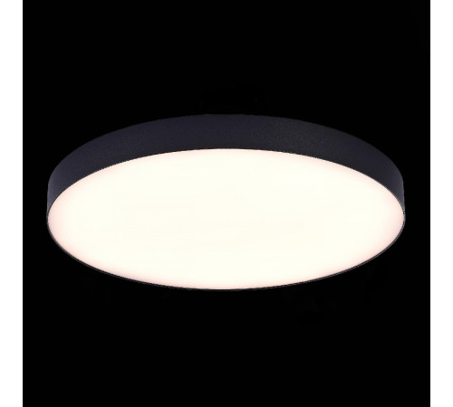 Потолочный светильник ST Luce ST606.432.96 Потолочный светильник ST Luce ST606.432.96