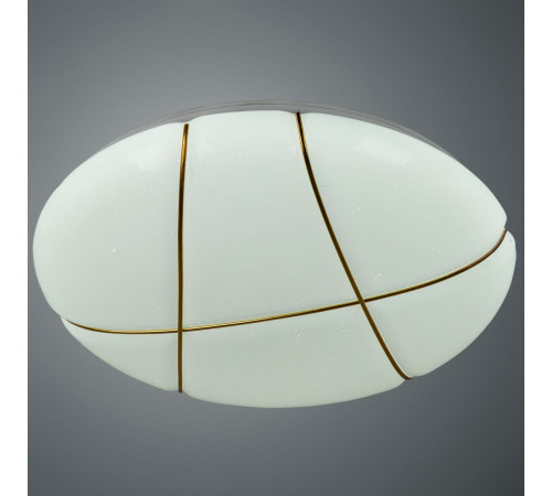 Потолочный светодиодный светильник Arte Lamp Biscotti A2677PL-72GO