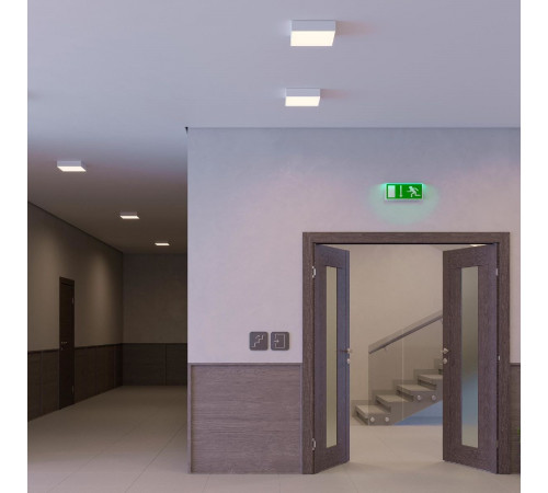 Потолочный светильник Arlight IM-QUADRO-EMERGENCY-3H-S400x400-44W Day4000 (BK, 120 deg, 230V) 041028 Потолочный светильник Arlight IM-QUADRO-EMERGENCY-3H-S400x400-44W Day4000 (BK, 120 deg, 230V) 041028