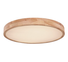 Потолочный светильник Globo Rainer 41745-48