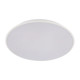Потолочный светильник Loft IT Brim 10226 White