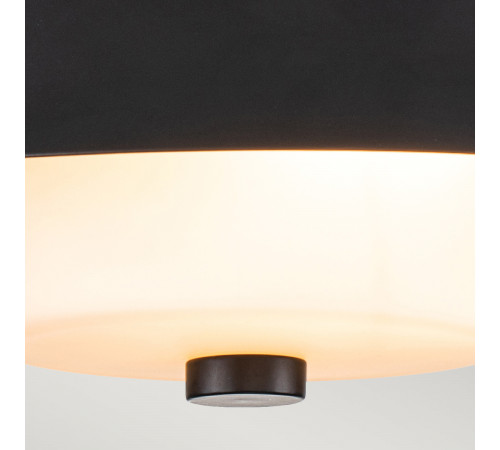 Потолочный светильник Elstead Lighting Bowtie BOWTIE-F-MB