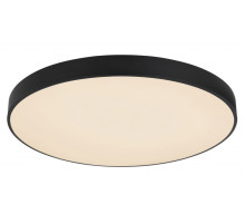 Потолочный светильник Globo Leanara 41756-48B