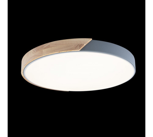 Потолочный светильник Loft IT AXEL 10004/36 Grey