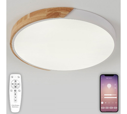 Потолочный светильник Natali Kovaltseva Scandinavian LED LAMPS 81182 Потолочный светильник Natali Kovaltseva Scandinavian LED LAMPS 81182