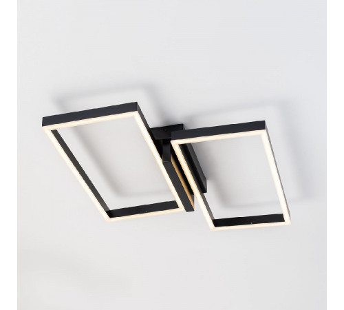 Потолочный светильник Escada Scales 10209/2LED Black Потолочный светильник Escada Scales 10209/2LED Black