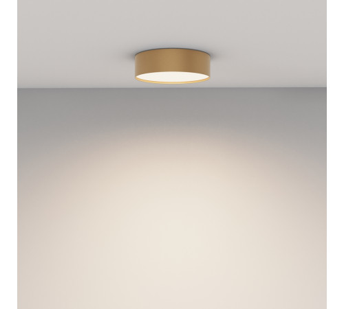 Потолочный светильник Maytoni Technical Ceiling Zon C032CL-24W4K-RD-MG