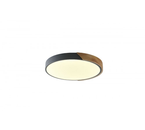 Потолочный светильник Zortes Alberro ZRS.01280.24 Потолочный светильник Zortes Alberro ZRS.01280.24