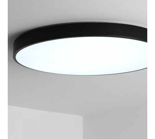 Потолочный светильник Zortes Tortty ZRS.02563.72