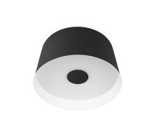 Потолочный светильник Loft IT Duo 10360S Black