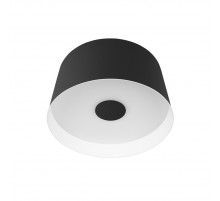 Потолочный светильник Loft IT Duo 10360S Black