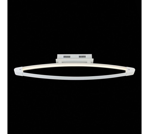 Потолочный светодиодный светильник ST Luce SL920.102.01 Потолочный светодиодный светильник ST Luce SL920.102.01