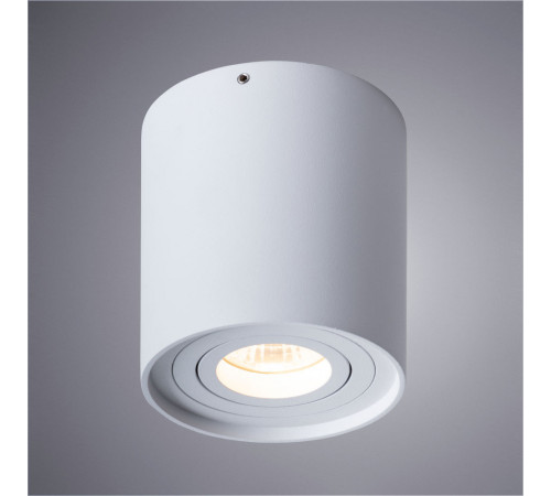 Потолочный светильник Arte Lamp Falcon A5645PL-1WH