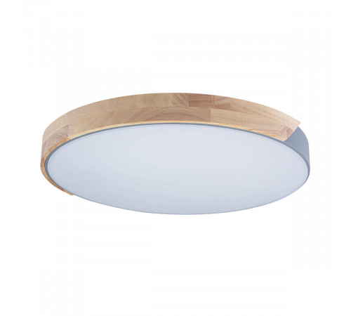 Потолочный светильник Loft IT AXEL 10004/36 Grey