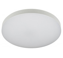 Потолочный светильник Эра Relict 48 SPB-6-60 4К WH Б0059500