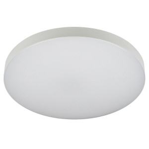 Потолочный светильник Эра Relict 48 SPB-6-60 4К WH Б0059500