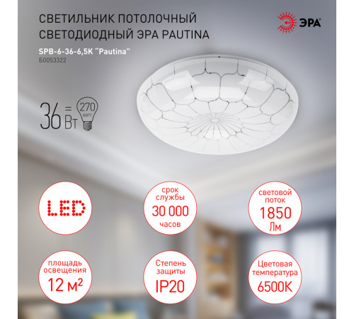 Потолочный светильник Эра SPB-6-36-6,5K Pautina Б0053322