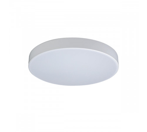 Потолочный светильник Loft IT AXEL 10002/24 White Потолочный светильник Loft IT AXEL 10002/24 White