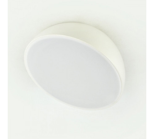 Потолочный светильник Escada 20025SMA/01LED WH