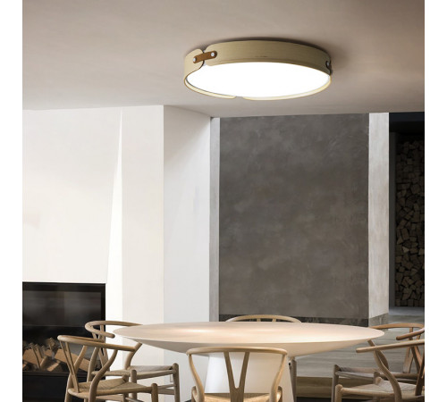 Потолочный светильник ImperiumLoft Range 195541-26 Потолочный светильник ImperiumLoft Range 195541-26