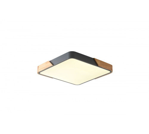 Потолочный светильник Zortes Alberro ZRS.01288.60 Потолочный светильник Zortes Alberro ZRS.01288.60