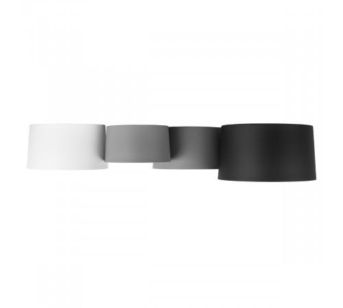 Потолочный светильник Loft IT Duo 10360/4 Потолочный светильник Loft IT Duo 10360/4