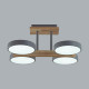 Потолочный светильник Lumion Plato 8031/72CL
