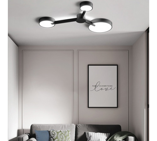 Потолочный светильник ImperiumLoft Mida 151503-26