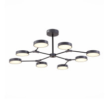 Потолочный светильник Evoluce Monta SLE6003-702-08