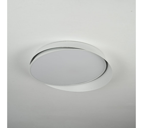 Потолочный светильник ImperiumLoft Shell 228947-26 Потолочный светильник ImperiumLoft Shell 228947-26