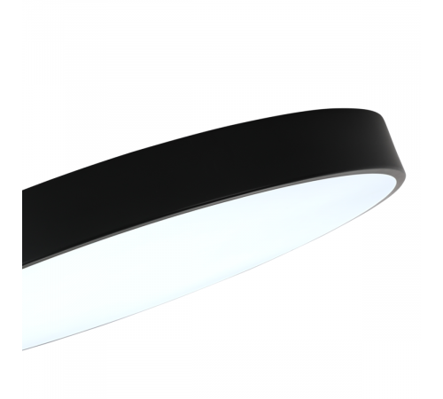 Потолочный светильник Zortes Tortty ZRS.02563.96 Потолочный светильник Zortes Tortty ZRS.02563.96