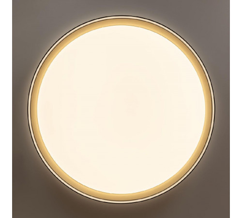 Потолочный светильник Citilux Boss CL751451G Потолочный светильник Citilux Boss CL751451G