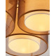 Потолочный светильник Moderli Room V10623-3C