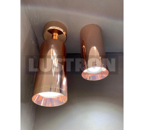 Потолочный светильник Maytoni Alfa C010CL-01RG Потолочный светильник Maytoni Alfa C010CL-01RG