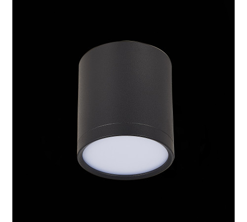 Потолочный светильник ST Luce Rene ST113.442.05 Потолочный светильник ST Luce Rene ST113.442.05