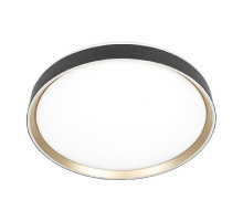 Потолочный светильник Citilux Boss CL751451G