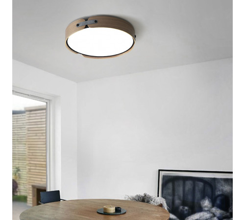 Потолочный светильник ImperiumLoft Range 101959-26 Потолочный светильник ImperiumLoft Range 101959-26