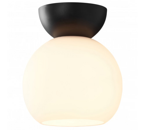 Потолочный светильник iLamp Mono C6079-1 BK+WH Потолочный светильник iLamp Mono C6079-1 BK+WH