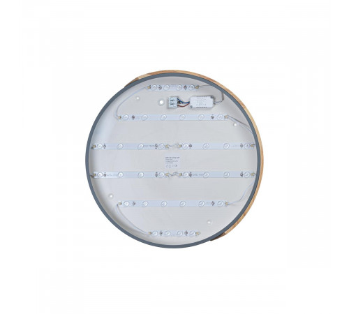 Потолочный светильник Loft IT AXEL 10004/36 Grey