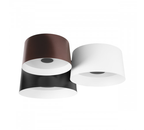 Потолочный светильник Loft IT Duo 10360/3 Потолочный светильник Loft IT Duo 10360/3