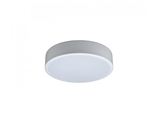 Потолочный светильник Loft IT AXEL 10002/12 White Потолочный светильник Loft IT AXEL 10002/12 White